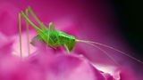 GEO Leserfoto: Die besten Leserfotos: August 2015 - Bild 12
