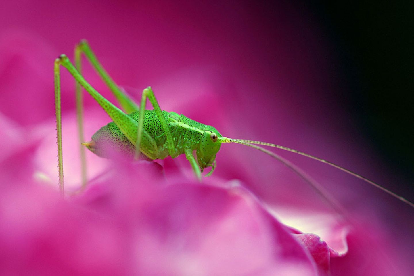 GEO Leserfoto: Die besten Leserfotos: August 2015 - Bild 12