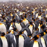 GEO Leserfoto: Die besten Leserfotos: August 2015 - Bild 13