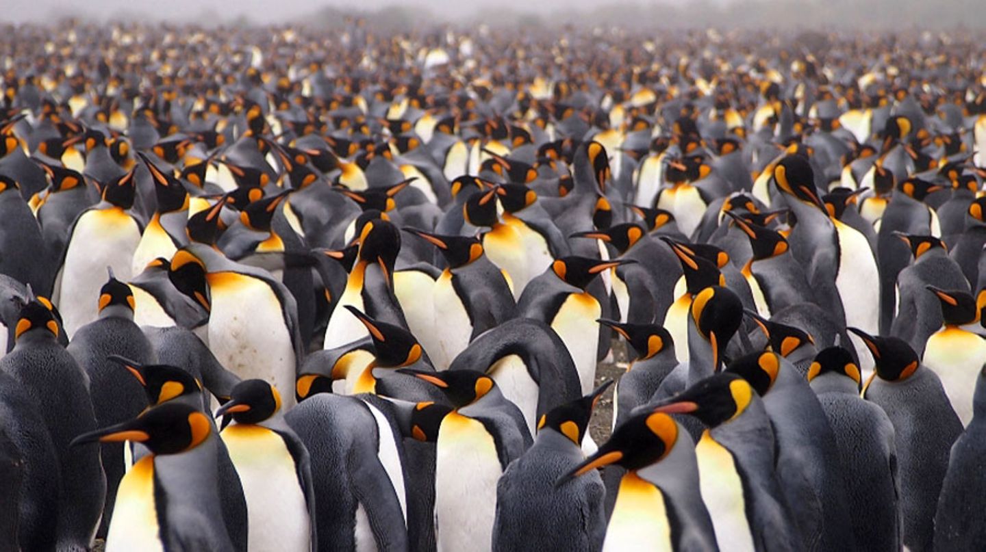 GEO Leserfoto: Die besten Leserfotos: August 2015 - Bild 13