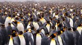 GEO Leserfoto: Die besten Leserfotos: August 2015 - Bild 13