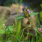 GEO Leserfoto: Die besten Leserfotos: August 2015 - Bild 14