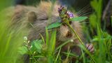 GEO Leserfoto: Die besten Leserfotos: August 2015 - Bild 14
