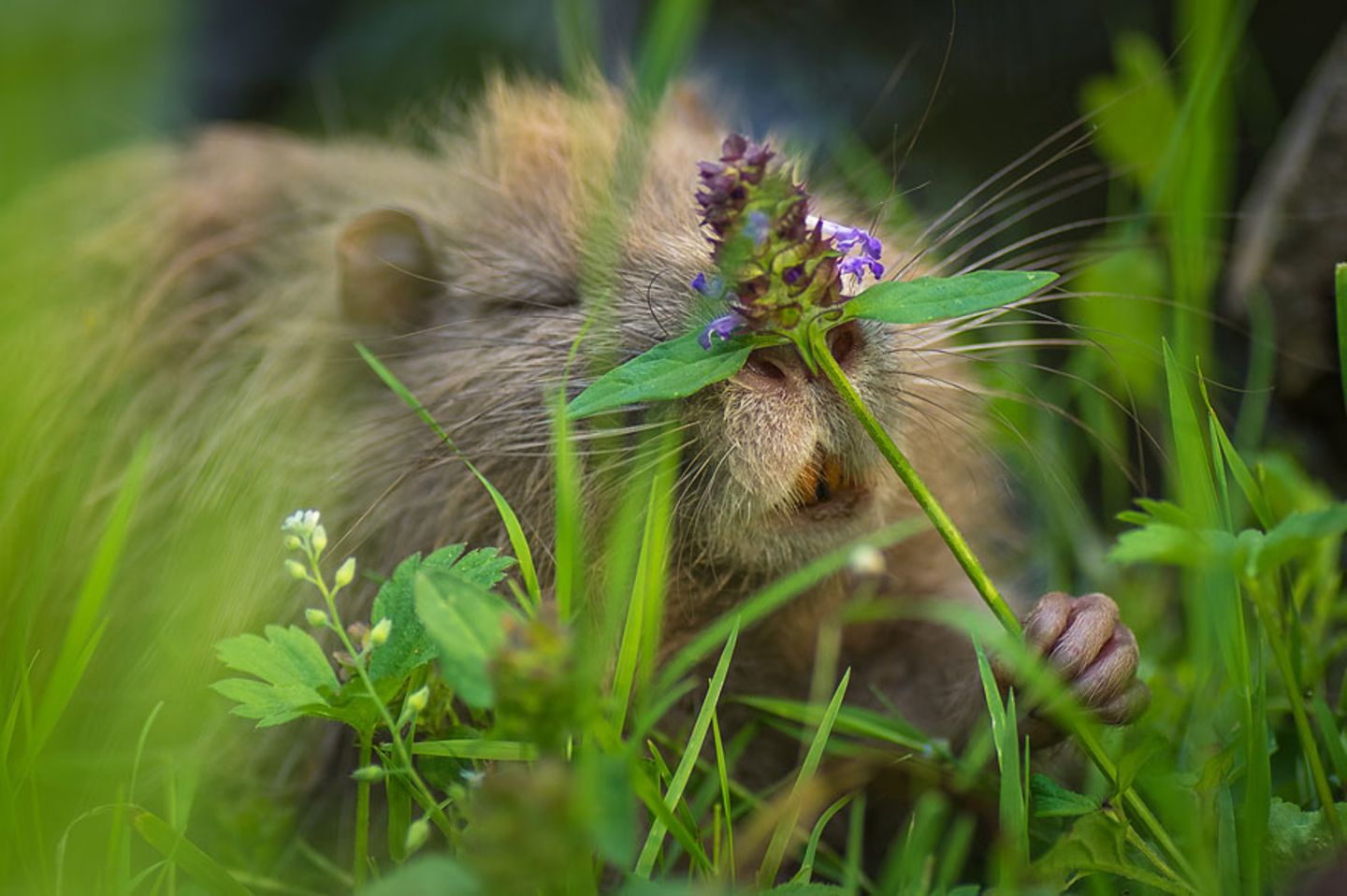GEO Leserfoto: Die besten Leserfotos: August 2015 - Bild 14