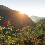 Blühende Landschaften