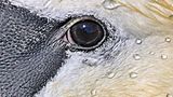 GEO Leserfoto: Die besten Leserfotos: September 2015