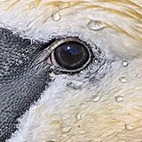 GEO Leserfoto: Die besten Leserfotos: September 2015