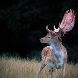 GEO Leserfoto: Die besten Leserfotos: September 2015 - Bild 8