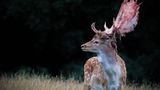 GEO Leserfoto: Die besten Leserfotos: September 2015 - Bild 8