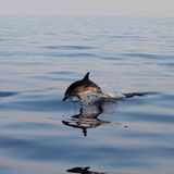 GEO Leserfoto: Die besten Leserfotos: September 2015 - Bild 11