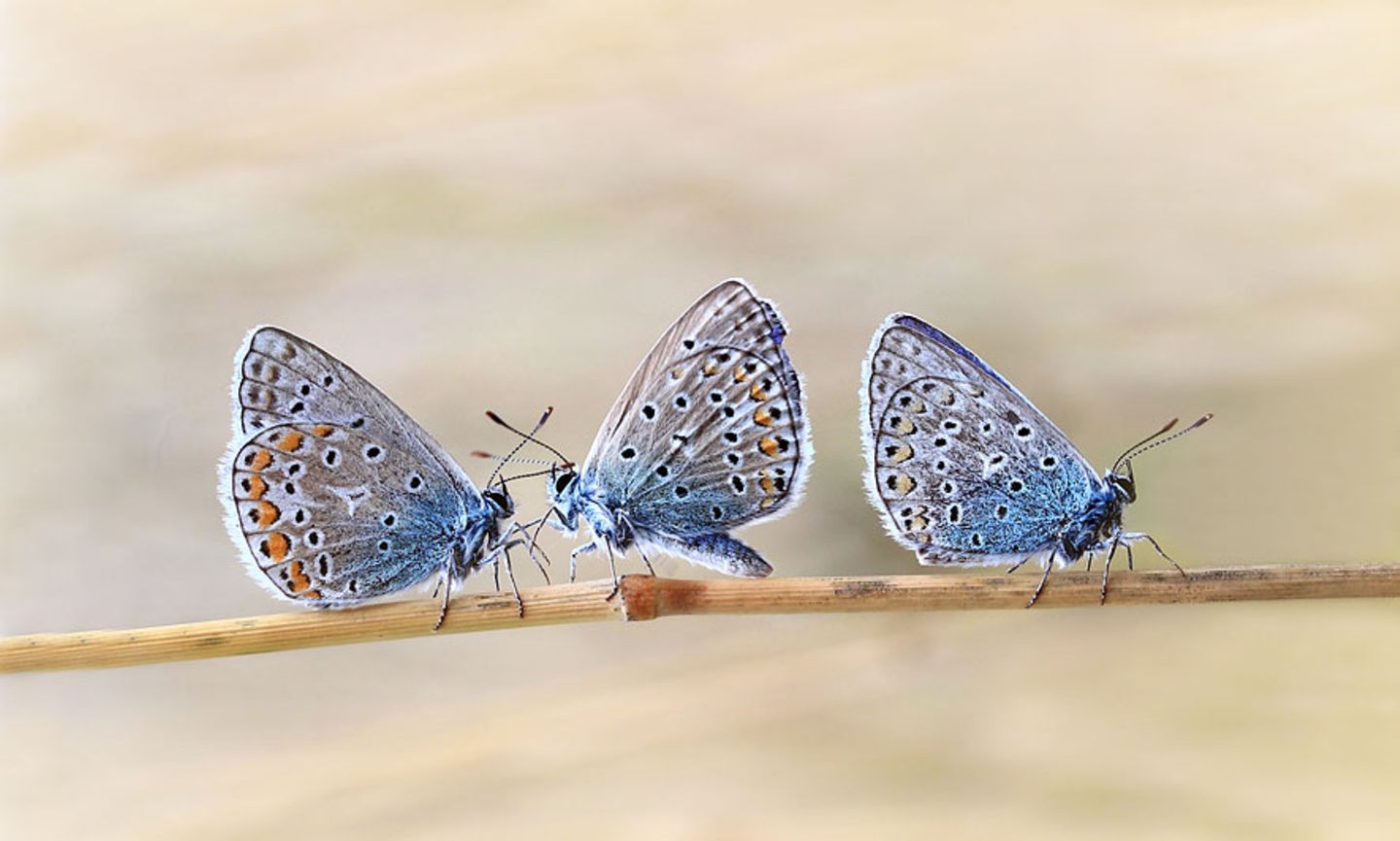 GEO Leserfoto: Die besten Leserfotos: September 2015 - Bild 12