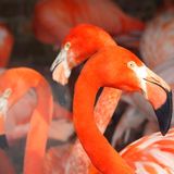 GEO Leserfoto: Die besten Leserfotos: September 2015 - Bild 14