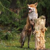 GEO Leserfoto: Die besten Leserfotos: September 2015 - Bild 16