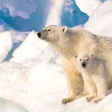 GEO Leserfoto: Die besten Leserfotos: September 2015 - Bild 18