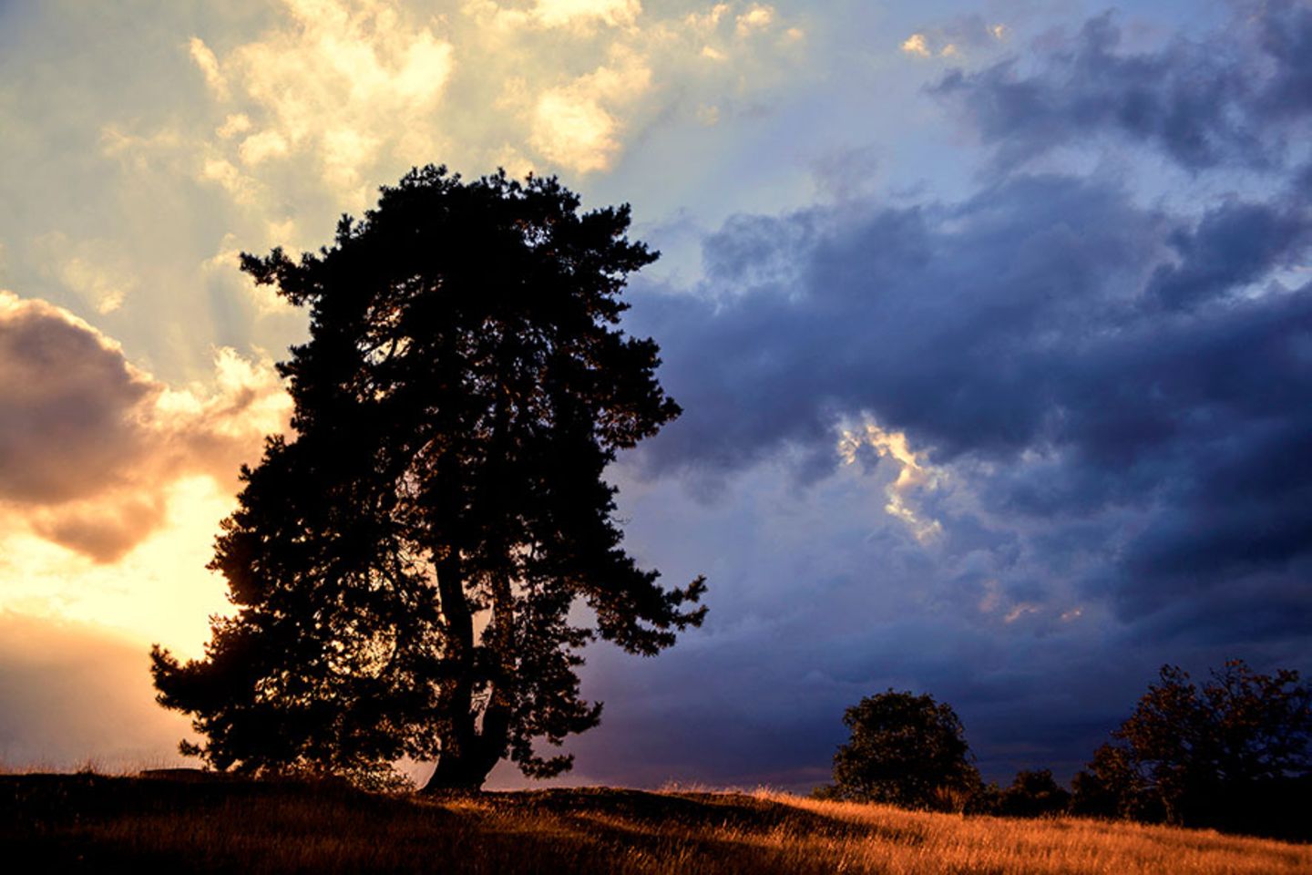 GEO Leserfoto: Die besten Leserfotos: September 2015 - Bild 19