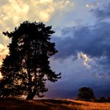 GEO Leserfoto: Die besten Leserfotos: September 2015 - Bild 19