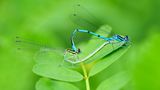 GEO Leserfoto: Die besten Leserfotos: September 2015 - Bild 20