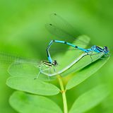 GEO Leserfoto: Die besten Leserfotos: September 2015 - Bild 20