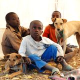 Tierärzte weltweit: Fotostrecke: Botschafter für den Tierschutz - Bild 2