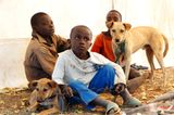 Tierärzte weltweit: Fotostrecke: Botschafter für den Tierschutz - Bild 2