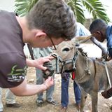Tierärzte weltweit: Fotostrecke: Botschafter für den Tierschutz - Bild 4