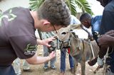 Tierärzte weltweit: Fotostrecke: Botschafter für den Tierschutz - Bild 4