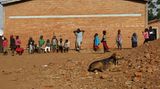 Tierärzte weltweit: Fotostrecke: Botschafter für den Tierschutz - Bild 5