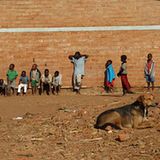 Tierärzte weltweit: Fotostrecke: Botschafter für den Tierschutz - Bild 5