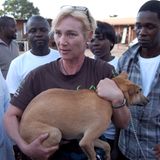 Tierärzte weltweit: Fotostrecke: Botschafter für den Tierschutz - Bild 6