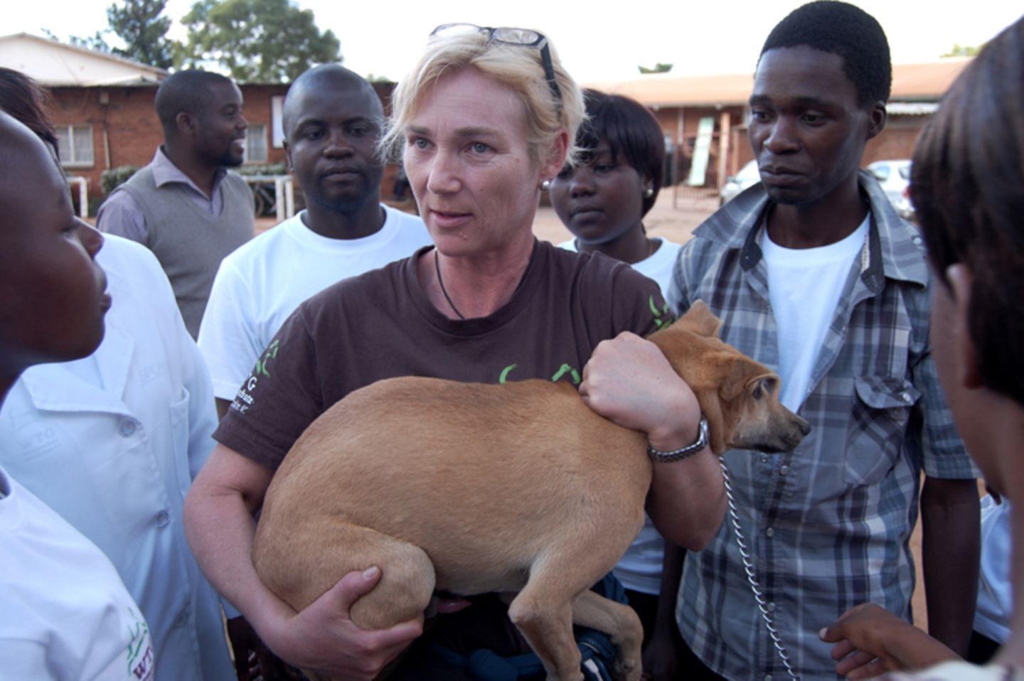 Tierärzte weltweit: Fotostrecke: Botschafter für den Tierschutz - Bild 6