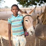 Tierärzte weltweit: Fotostrecke: Botschafter für den Tierschutz - Bild 7