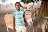 Tierärzte weltweit: Fotostrecke: Botschafter für den Tierschutz - Bild 7
