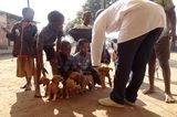 Tierärzte weltweit: Fotostrecke: Botschafter für den Tierschutz - Bild 9