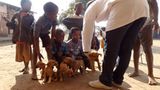 Tierärzte weltweit: Fotostrecke: Botschafter für den Tierschutz - Bild 9
