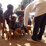 Tierärzte weltweit: Fotostrecke: Botschafter für den Tierschutz - Bild 9