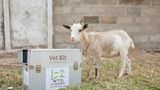 Tierärzte weltweit: Fotostrecke: Botschafter für den Tierschutz - Bild 10