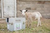 Tierärzte weltweit: Fotostrecke: Botschafter für den Tierschutz - Bild 10