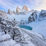 Tyrann in der Landschaft