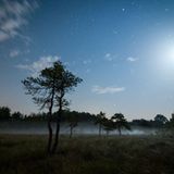 Szenenbilder aus "Magie der Moore"