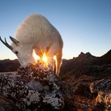 Fritz Pölking Jugendpreis 2015