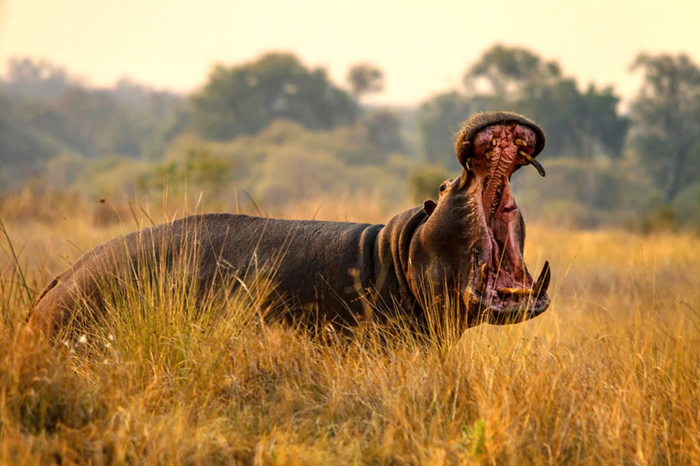 GEO Leserfoto: Die besten Leserfotos: Oktober 2015 - Bild 2