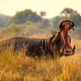 GEO Leserfoto: Die besten Leserfotos: Oktober 2015 - Bild 2