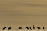 GEO Leserfoto: Die besten Leserfotos: Oktober 2015 - Bild 3