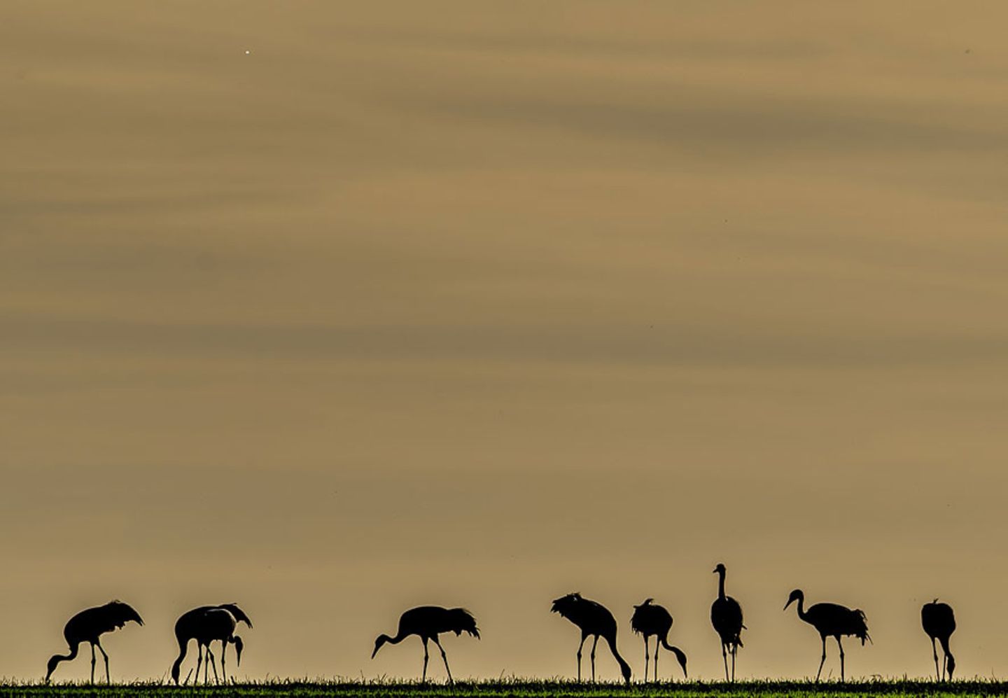 GEO Leserfoto: Die besten Leserfotos: Oktober 2015 - Bild 3