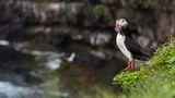 GEO Leserfoto: Die besten Leserfotos: Oktober 2015 - Bild 5