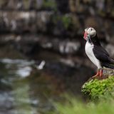 GEO Leserfoto: Die besten Leserfotos: Oktober 2015 - Bild 5