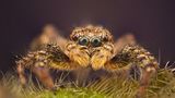 GEO Leserfoto: Die besten Leserfotos: Oktober 2015 - Bild 8