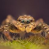 GEO Leserfoto: Die besten Leserfotos: Oktober 2015 - Bild 8