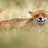 GEO Leserfoto: Die besten Leserfotos: Oktober 2015 - Bild 10