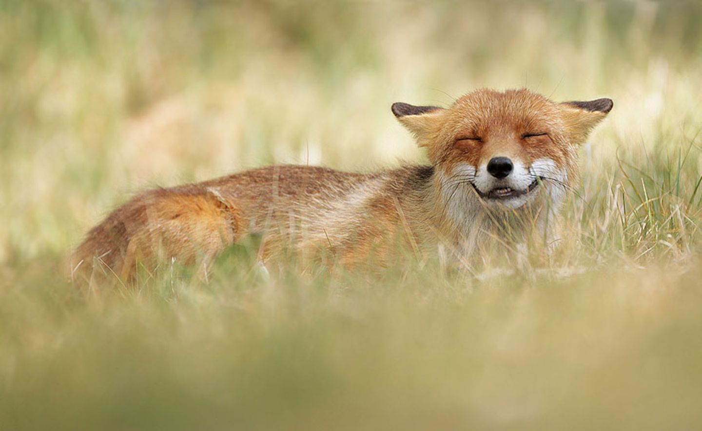 GEO Leserfoto: Die besten Leserfotos: Oktober 2015 - Bild 10